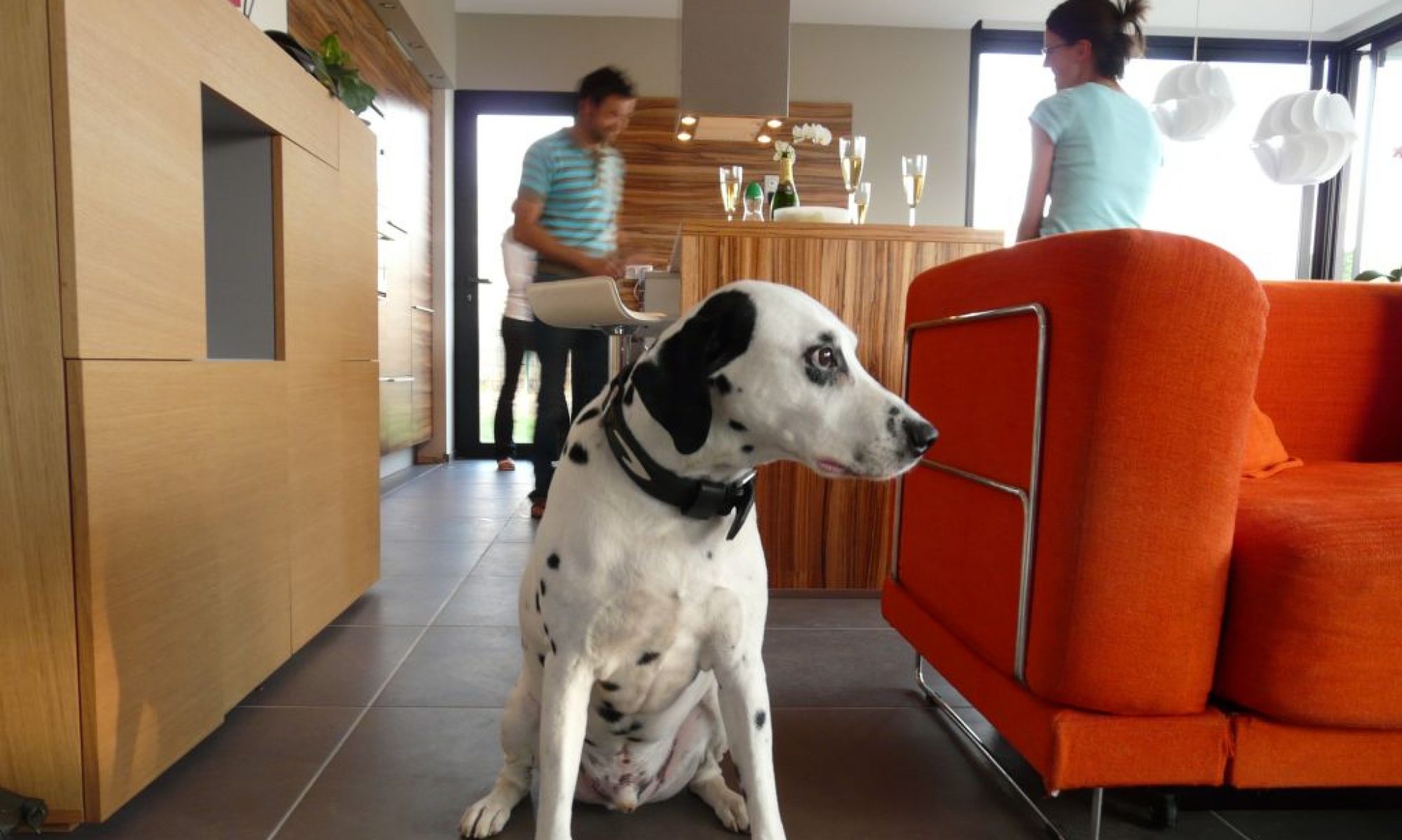 So What Architecture Architecte Montpellier